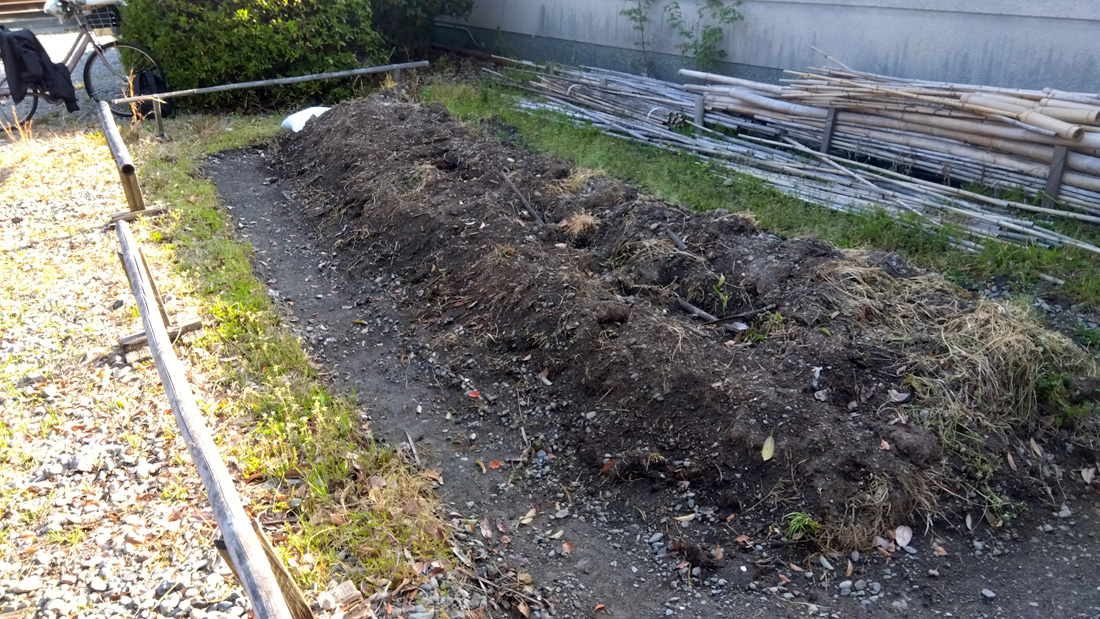 瓢箪の栽培　３月