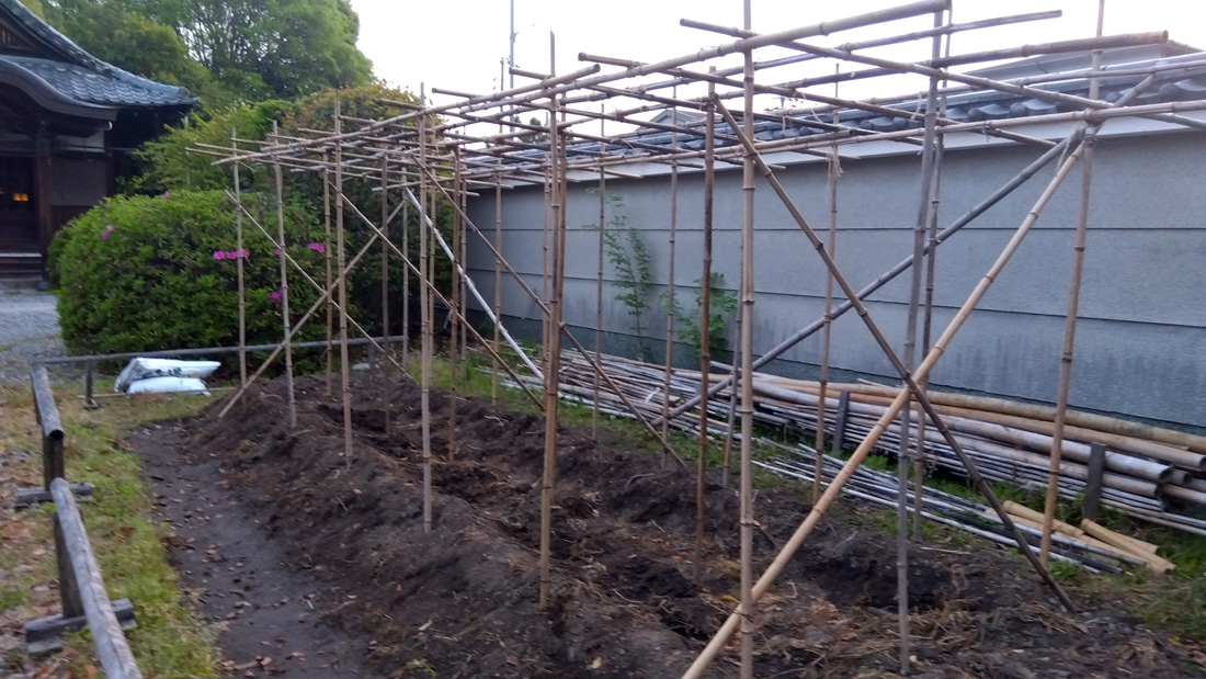 瓢箪の栽培　４月