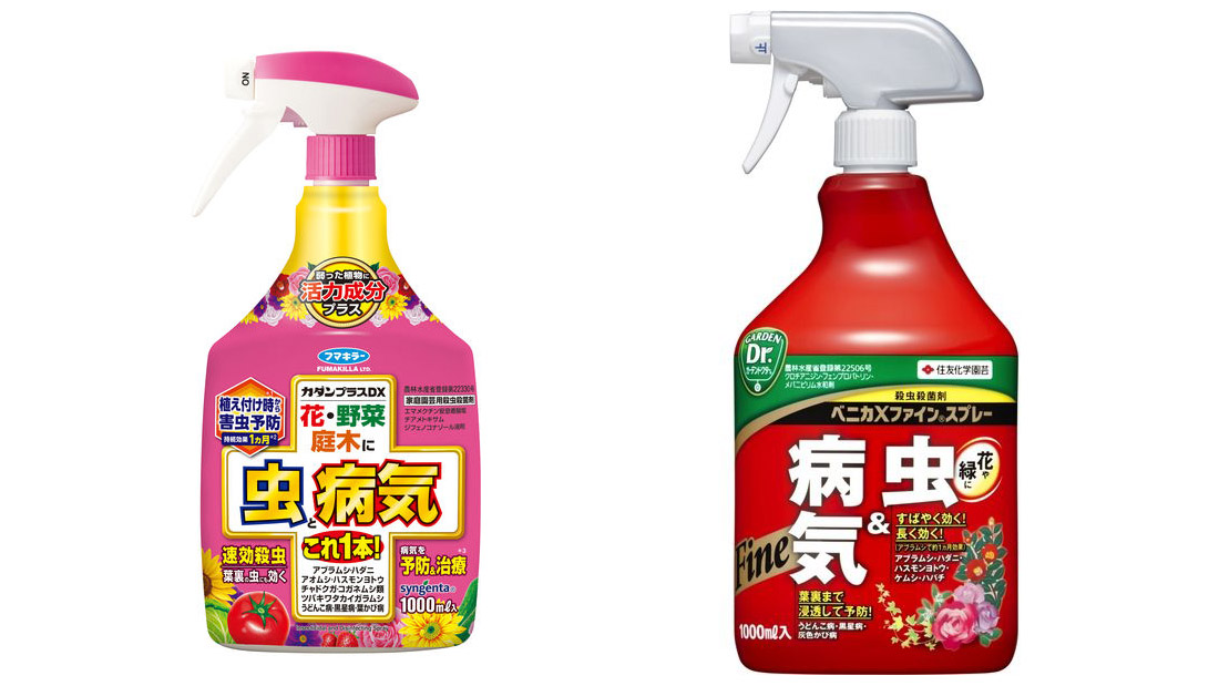 瓢箪の栽培　３月