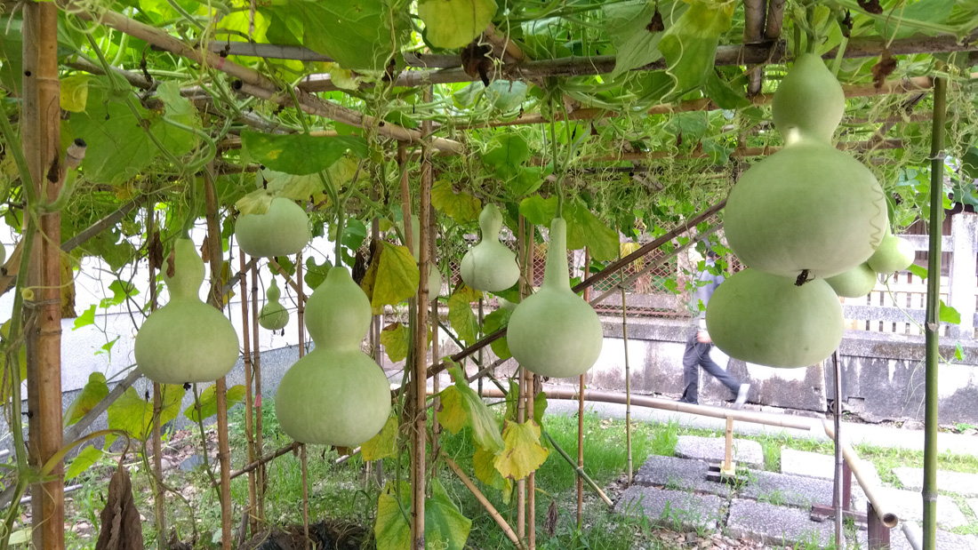 瓢箪の落下に注意