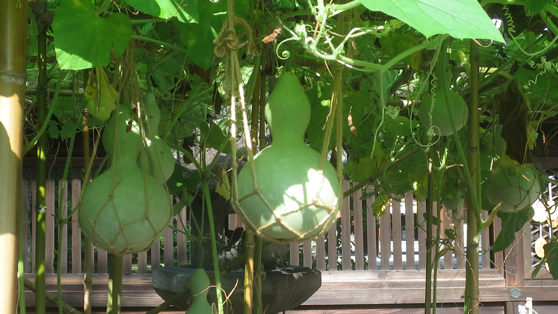 瓢箪の落下に注意