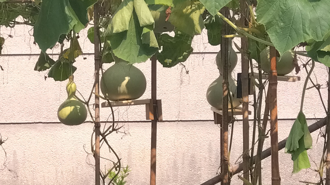 瓢箪の落下に注意